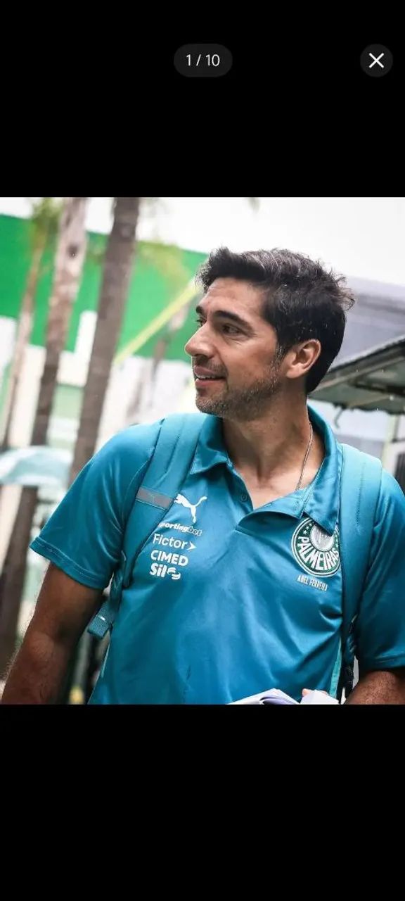Camisa Palmeiras Puma 2024