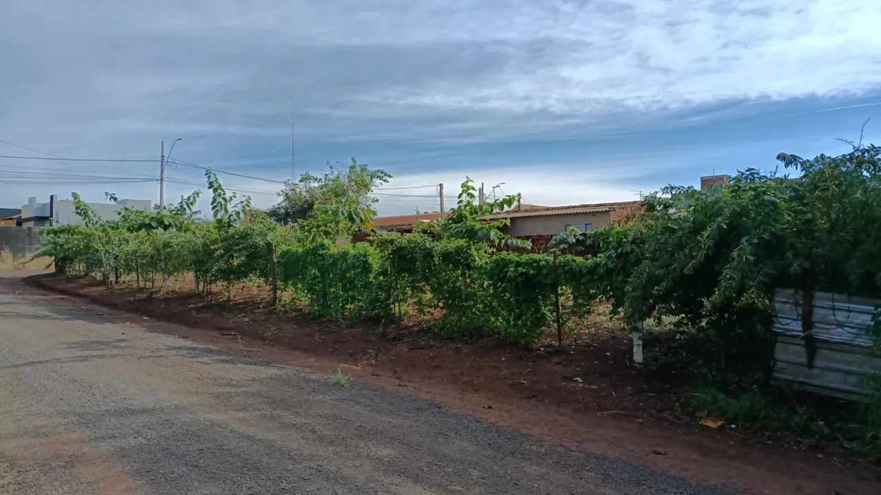 Terreno Salto grande  - Foto 3