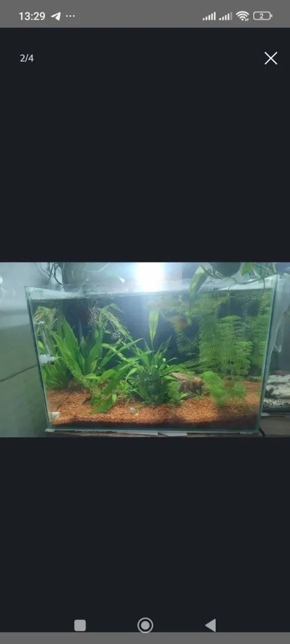 Aquário 48 Litros  - Foto 3