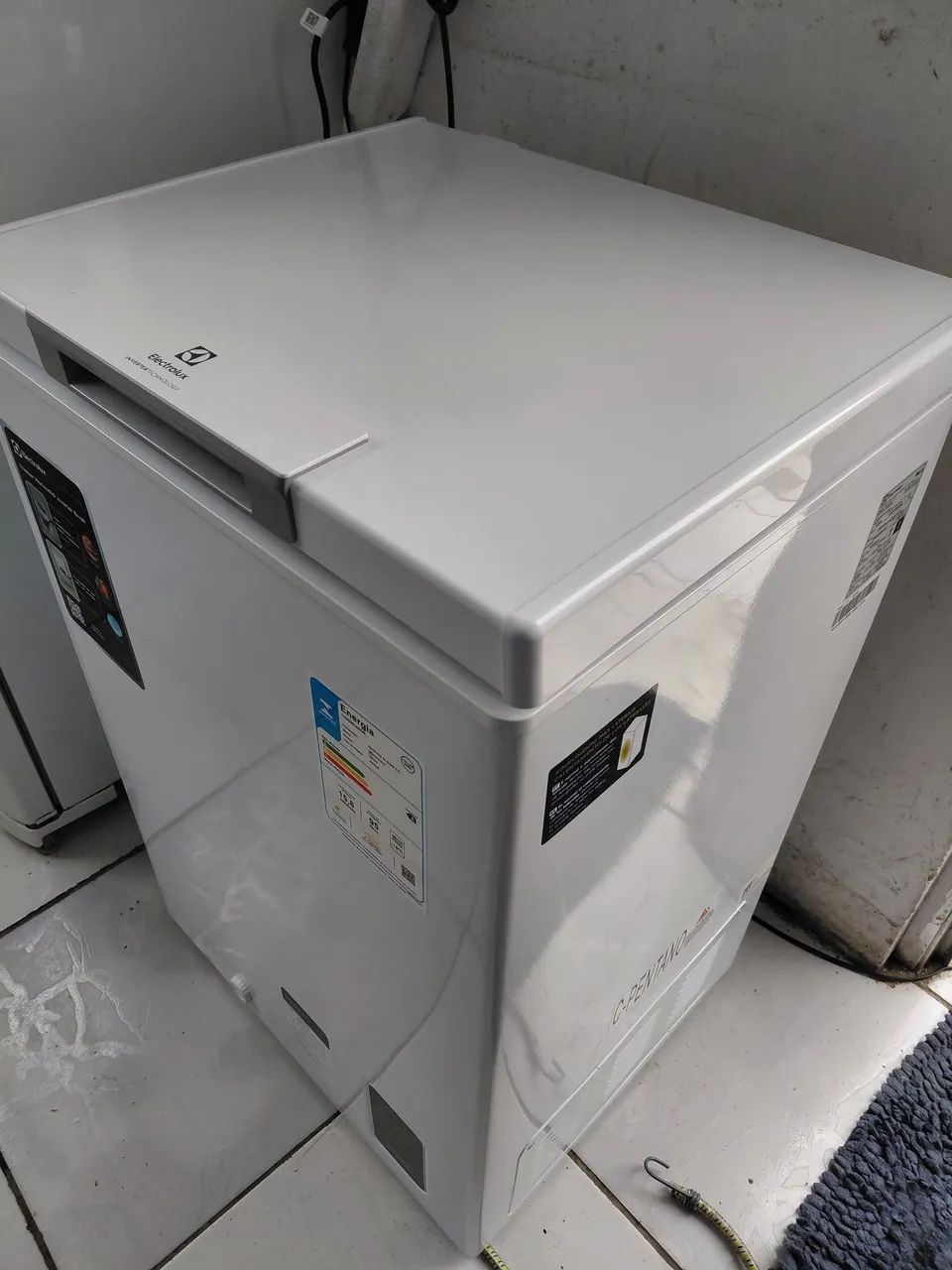 Frezer Electrolux bivolt  - Foto 4