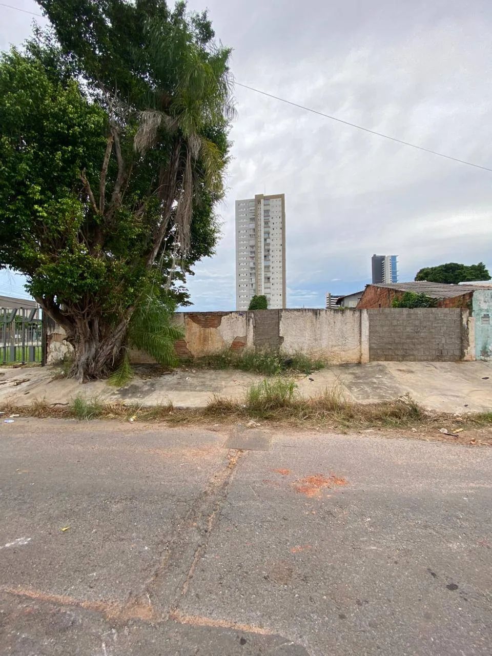Terreno no Bairro Goiabeiras - Foto 2