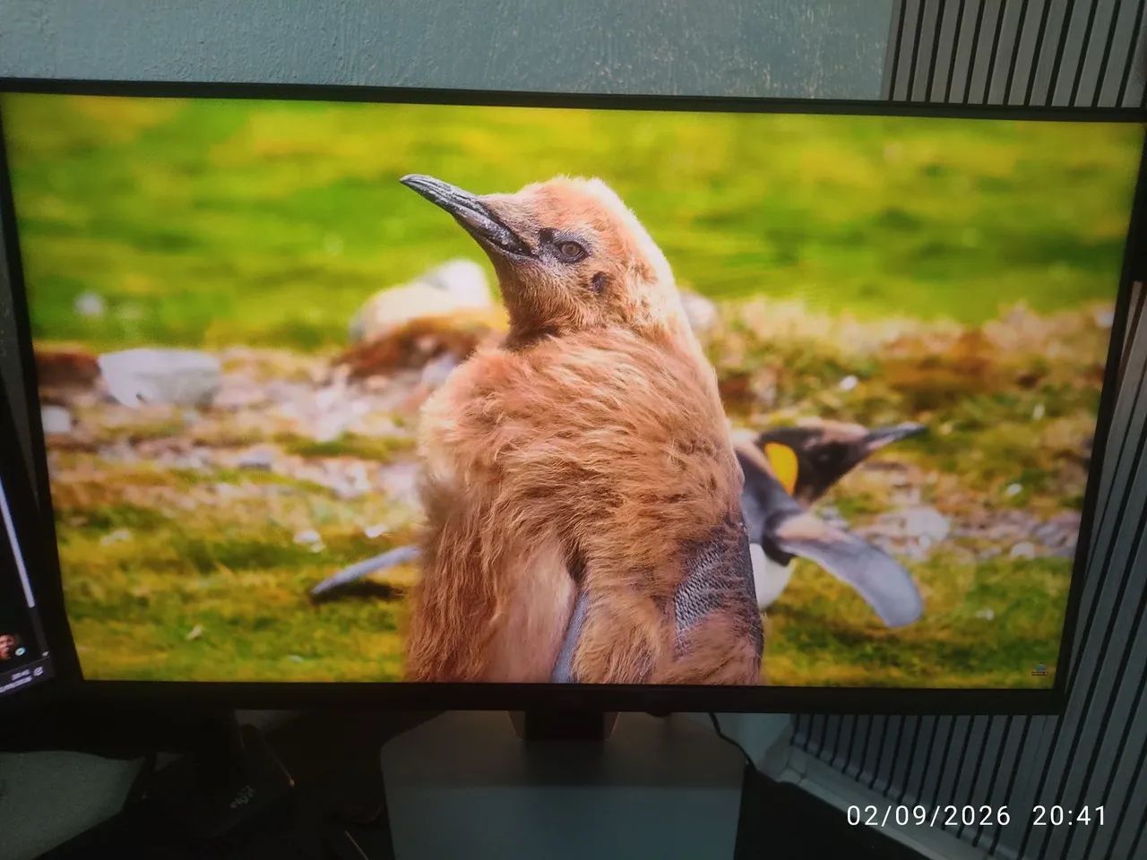 Monitor Mini Led TCL 25 300Hz - Foto 4