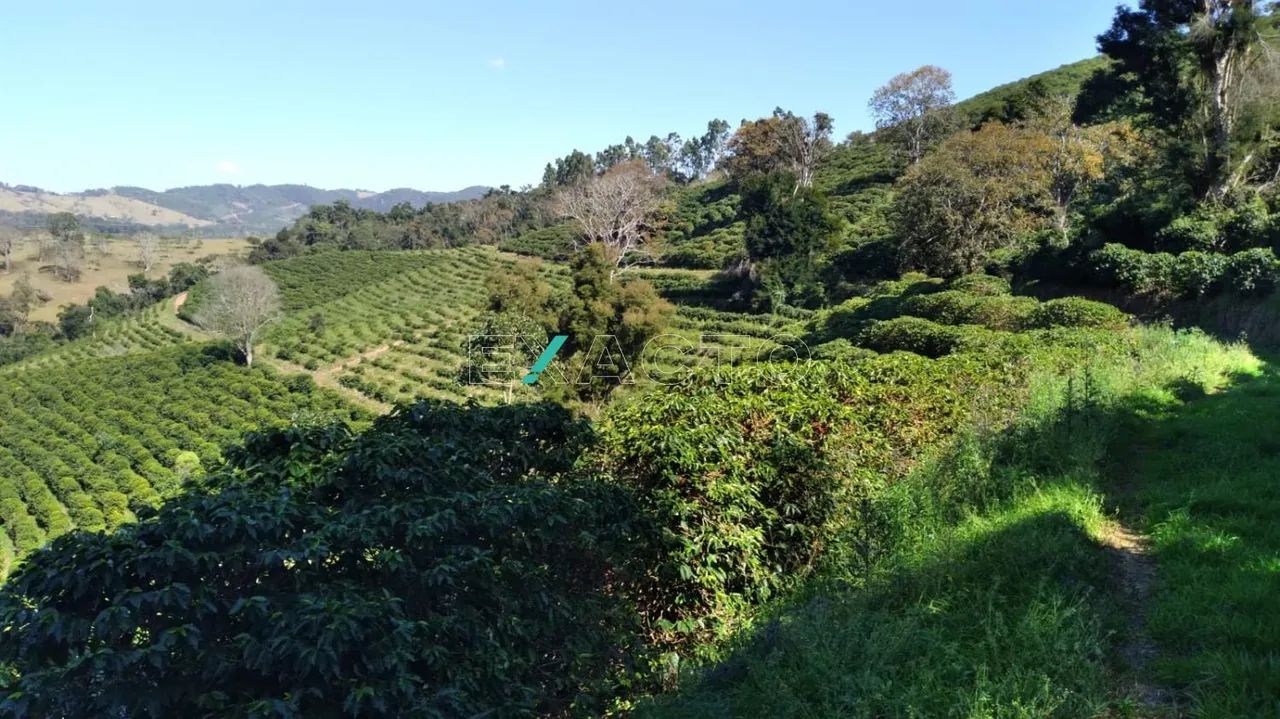 fazenda - Centro - Cambuquira - Foto 4