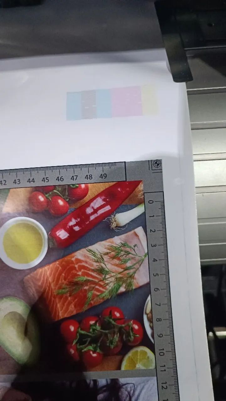 Plotter de impressão 1,80 de boca - Foto 5