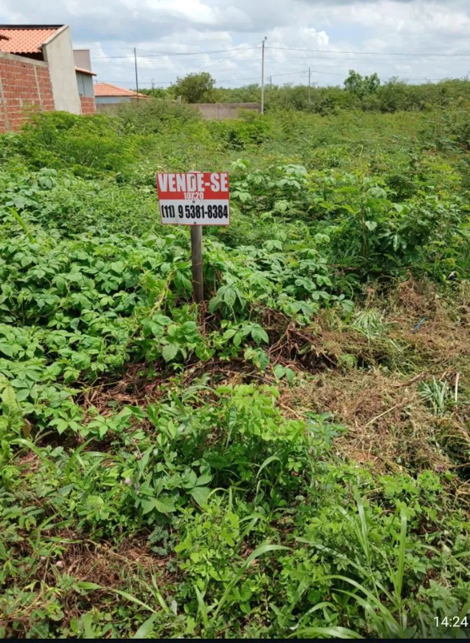Terreno 10x20 nova Valença, ao lado da ABB - Foto 3