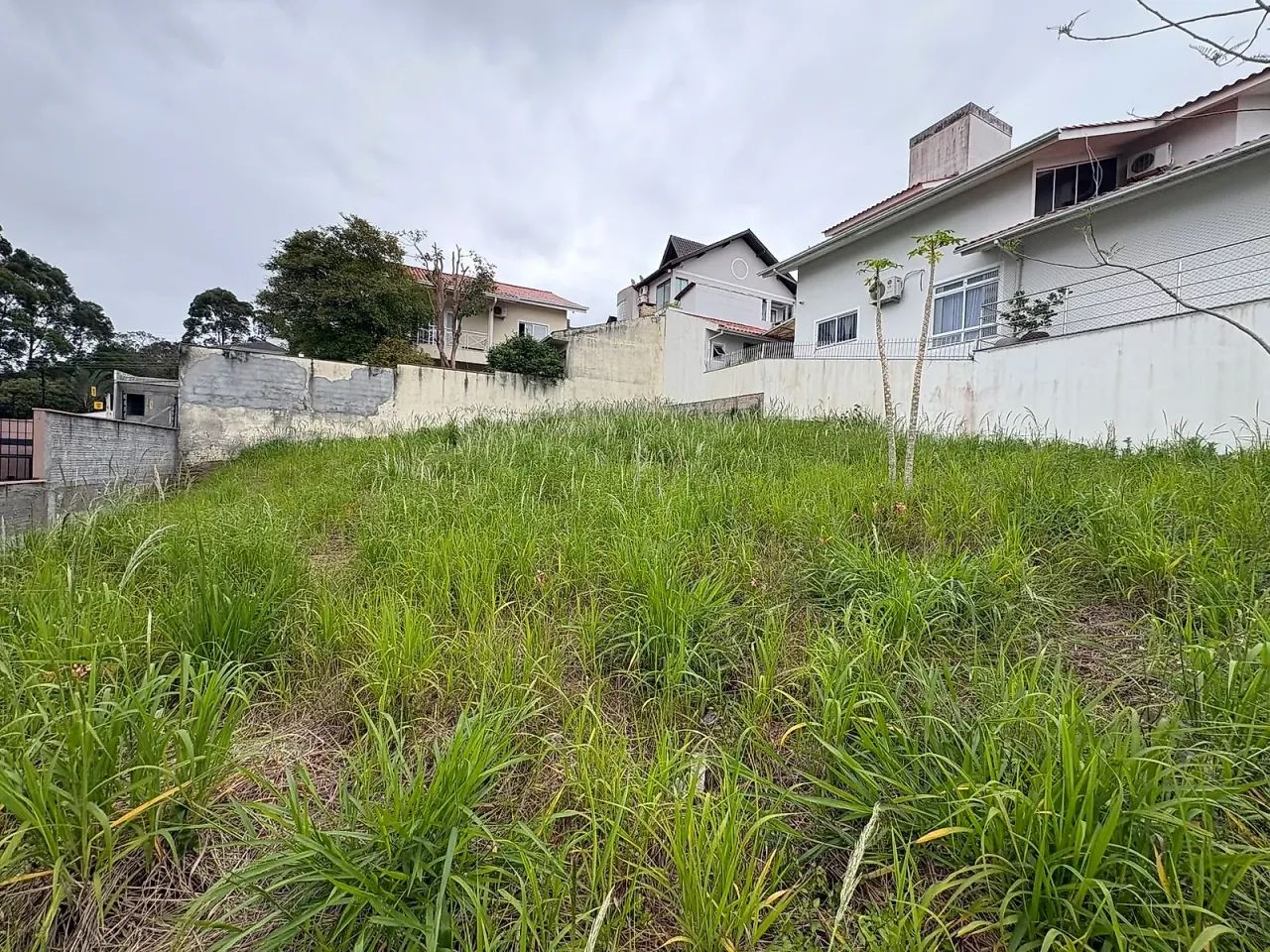 Terreno 161m² - Pedra Branca - Foto 3
