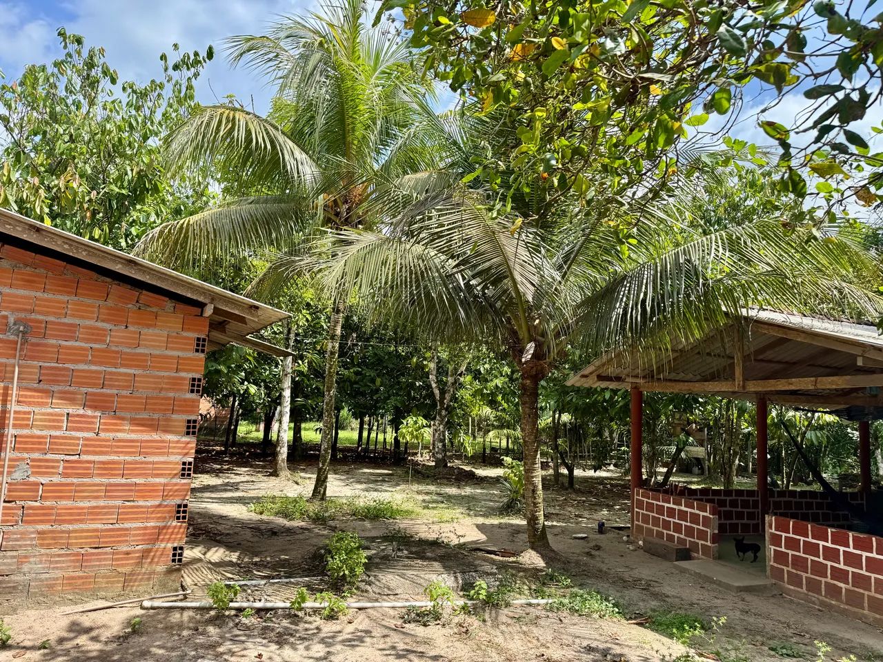 Sítio em Colares - Foto 5