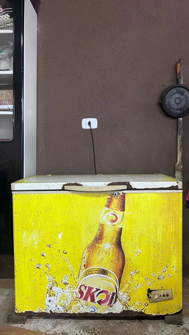 Freezer Horizontal 