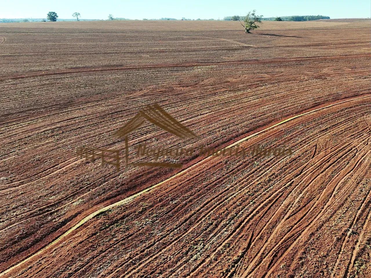 Fazenda com 100 alqueires em Avaré-SP - Foto 4