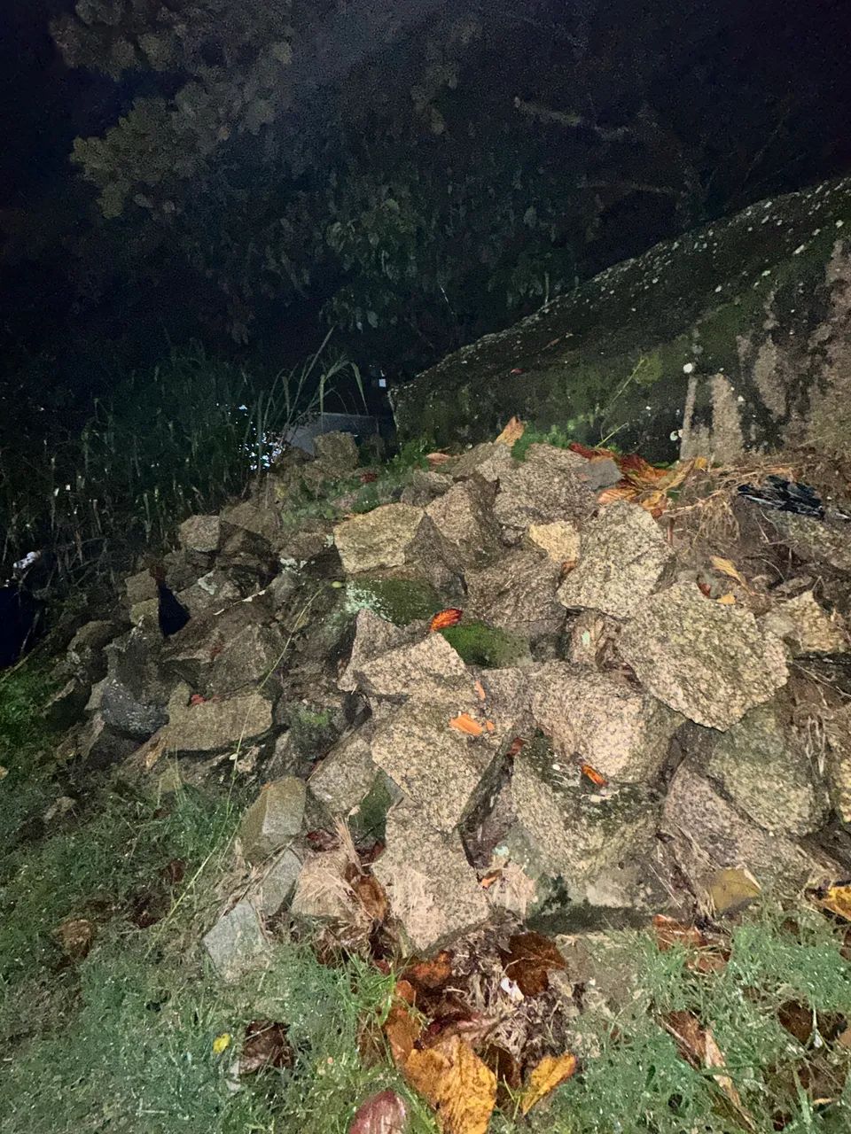 Pedra - Foto 4