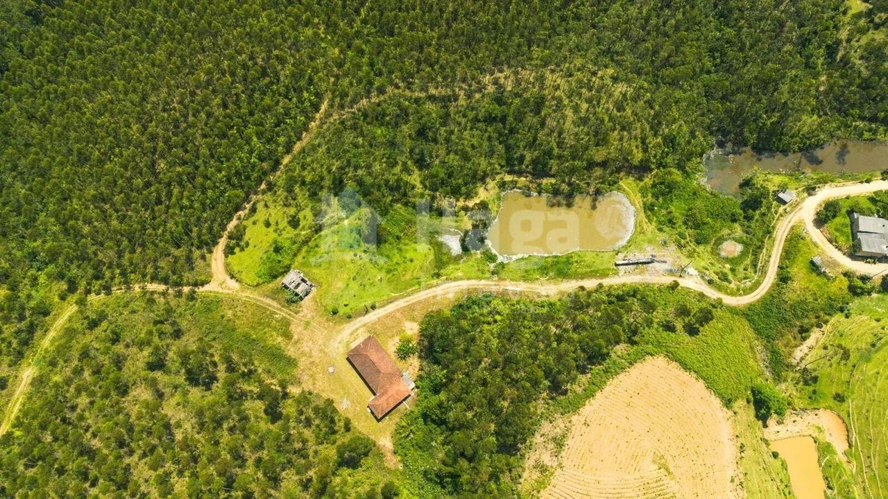 Sítio à venda em Leoberto Leal/SC - Foto 3