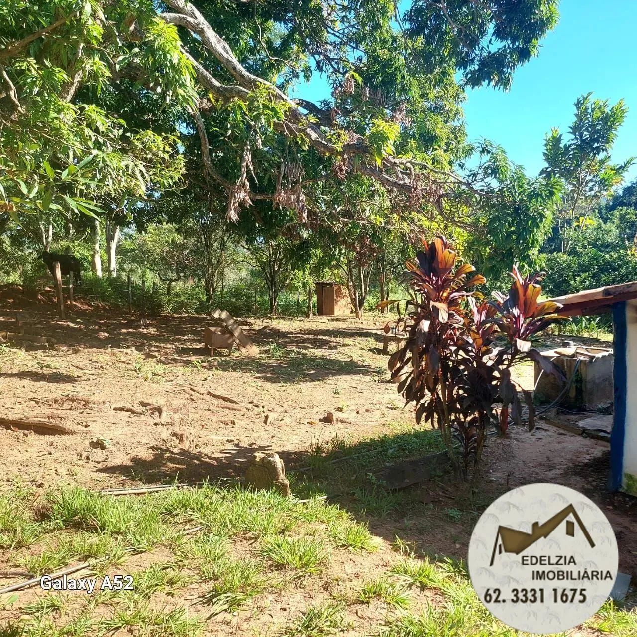 Chacara à Venda Pirenopolis - Foto 9