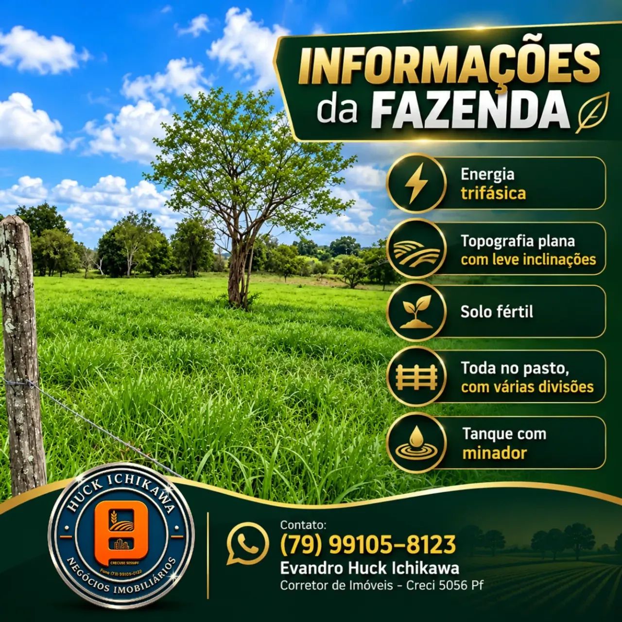 FAZENDA de 60 Tarefas MARUIM - Foto 5