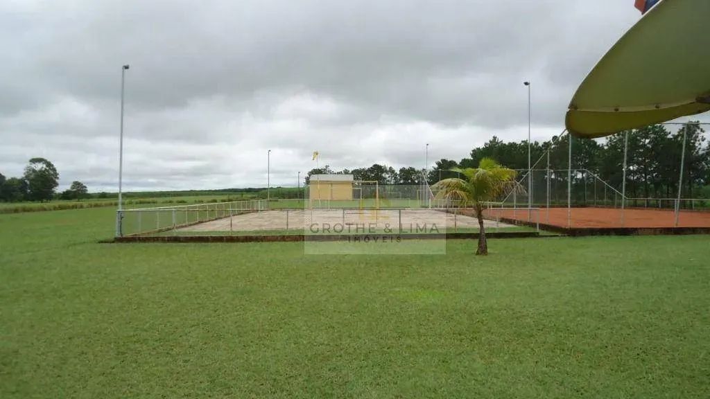 Fazenda à venda em Rancharia - SP - Foto 3