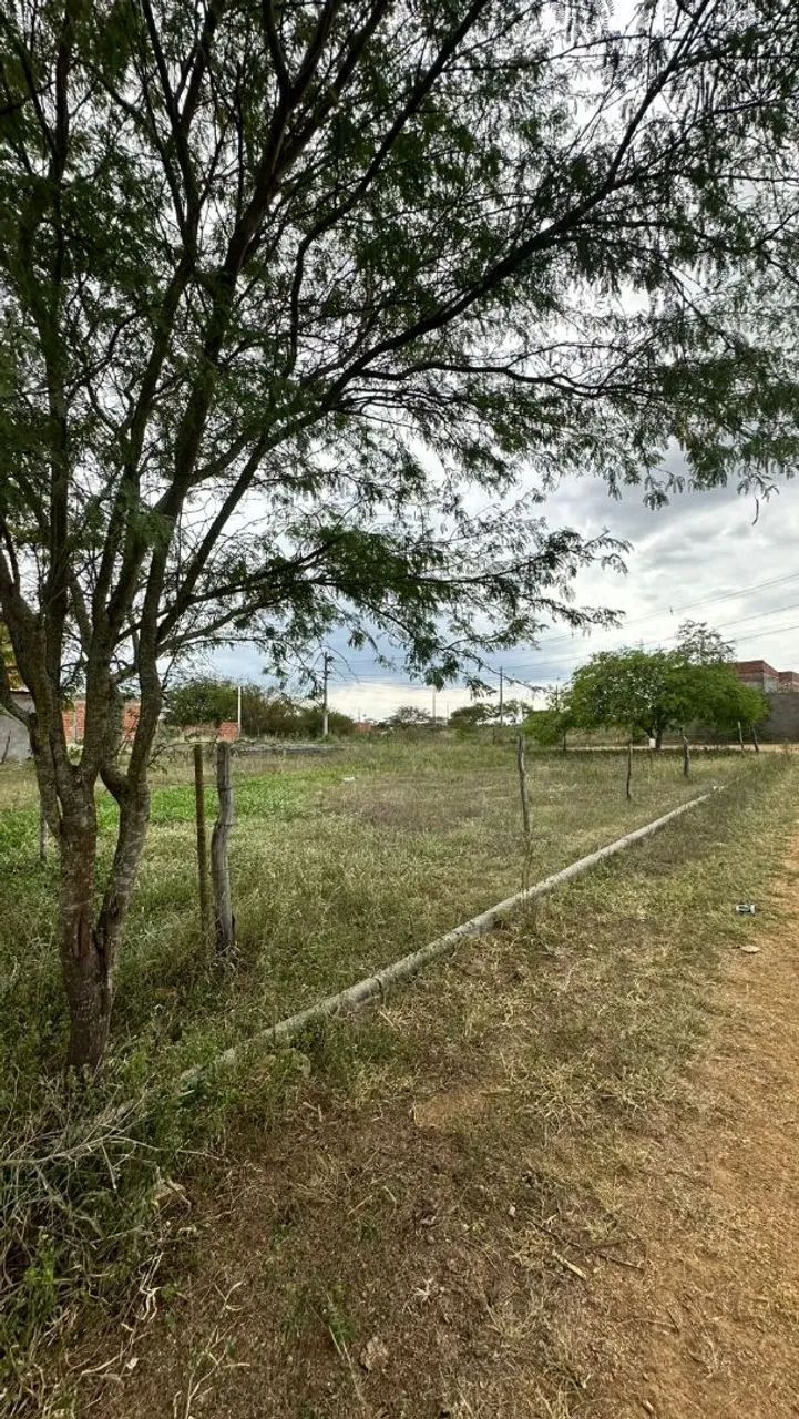 Terreno RIACHÃO O JACUÍPE  - Foto 4