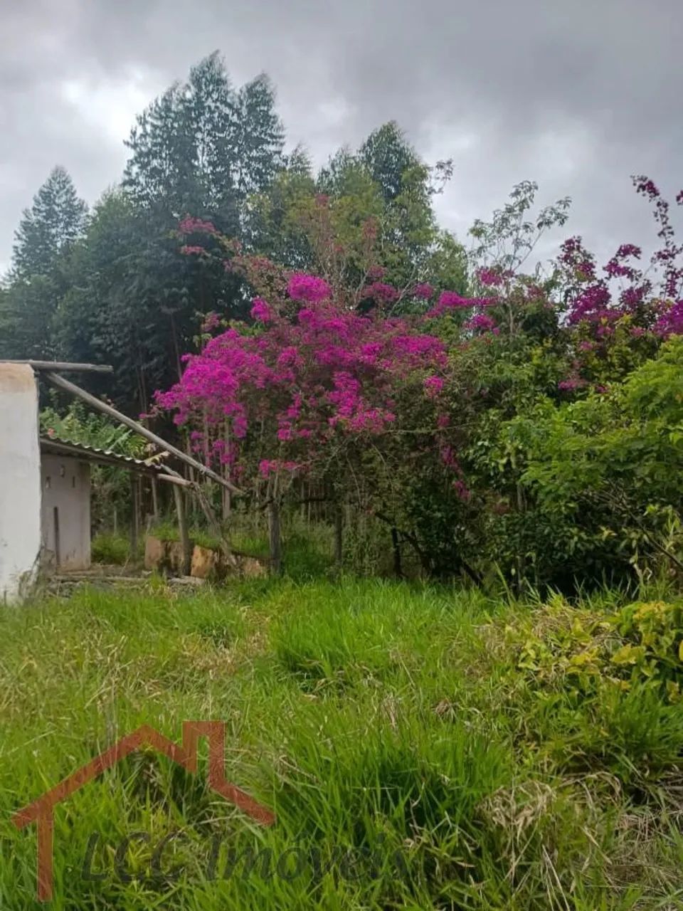 Terreno Rural para Venda em Salesópolis, Paraitinguinha