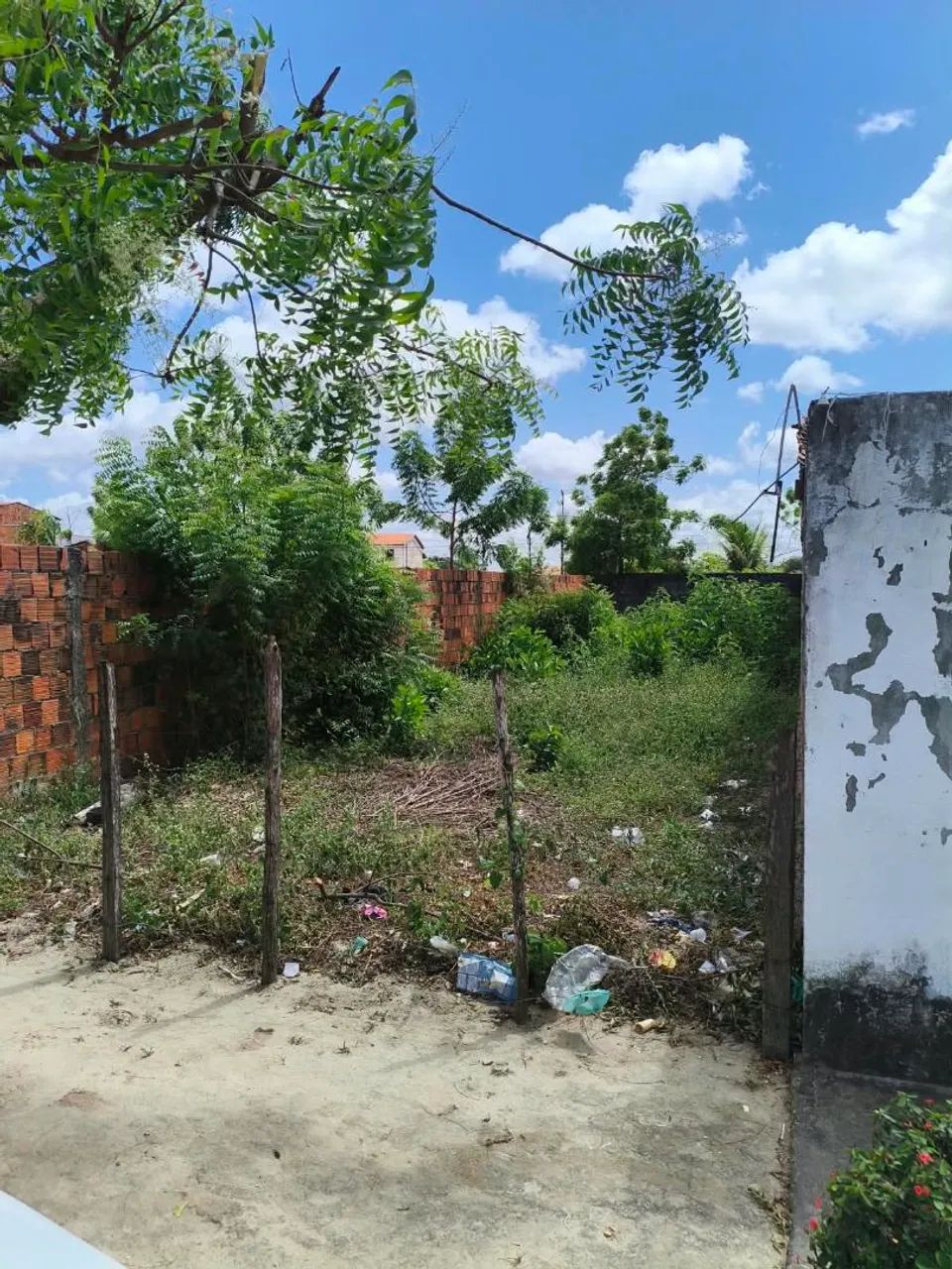 Terreno No Horizonte  - Foto 2
