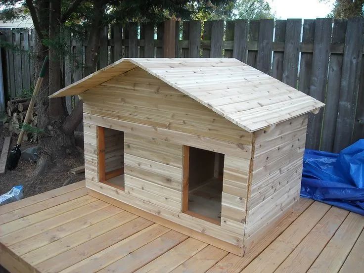 Casinha de Cachorro  - Foto 2