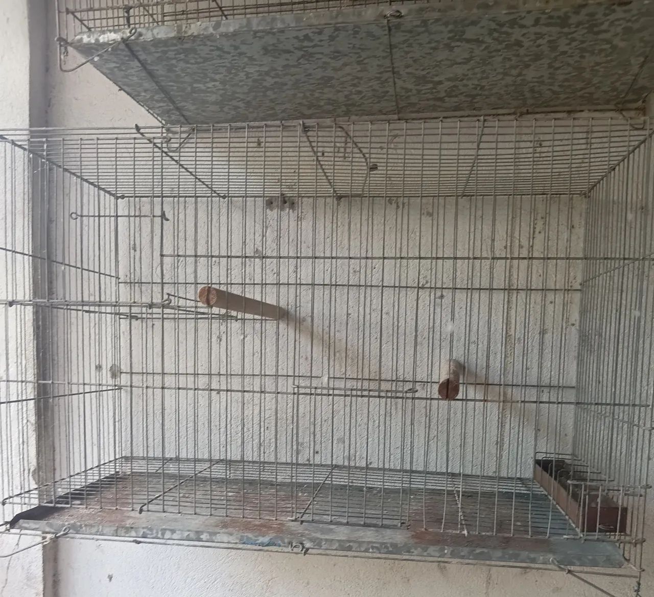 Gaiola de reprodução 