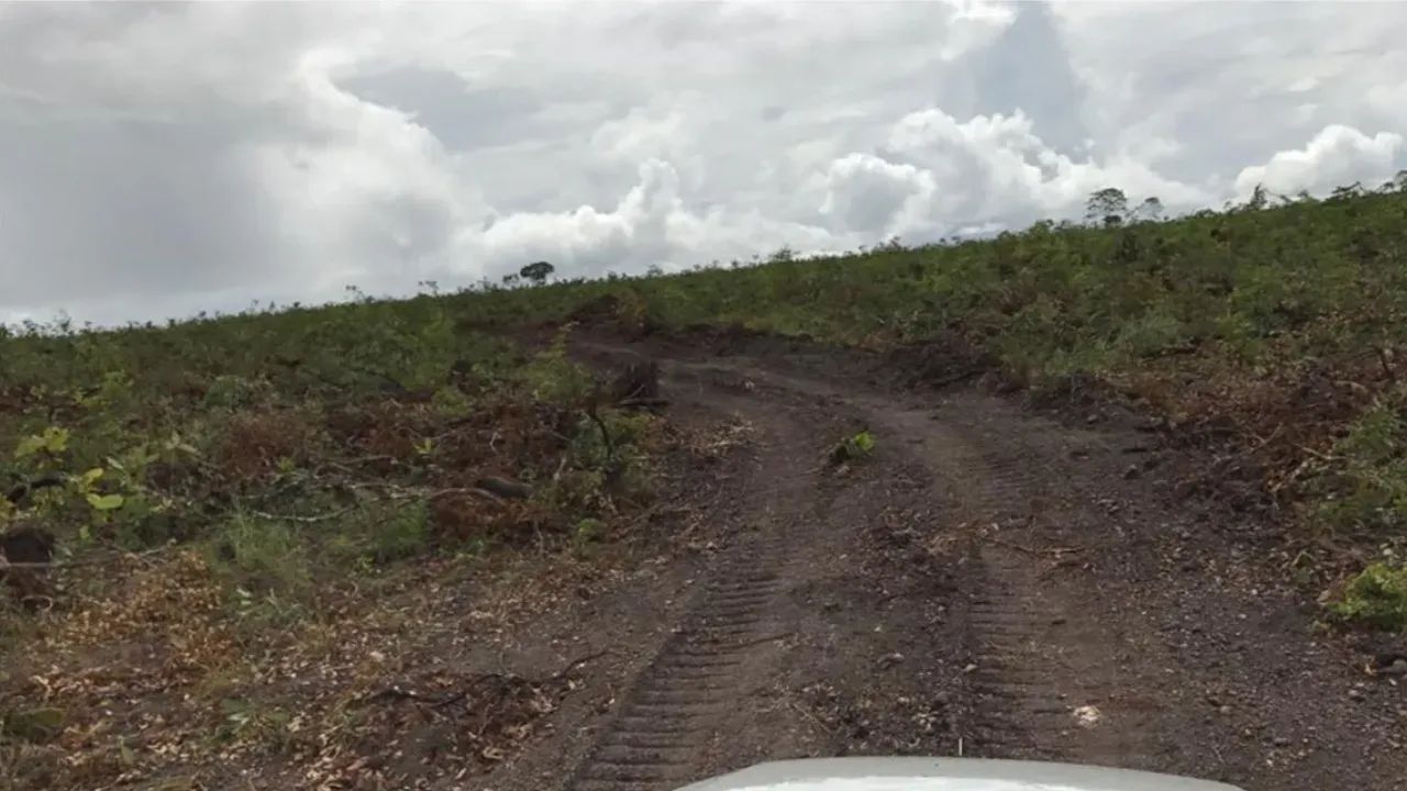 FAZENDA JOMA | PEIXE  TO - Foto 3