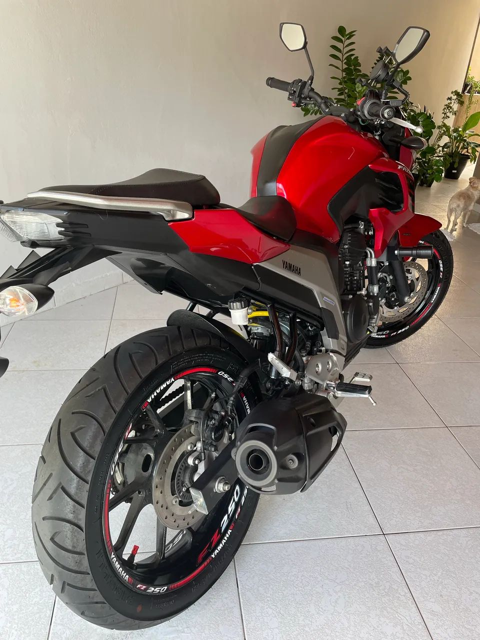 Fazer 250 - Foto 4