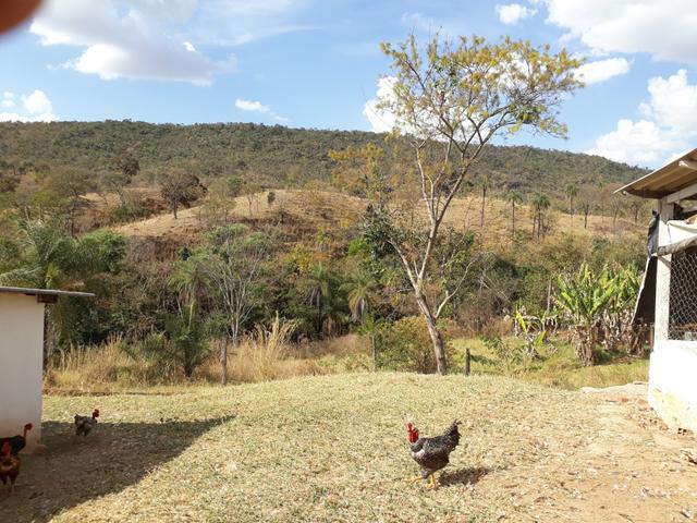 Oportunidade!! Vendo excelente fazenda em Formosa Goiás, com 168 hectares com muita água - Foto 11