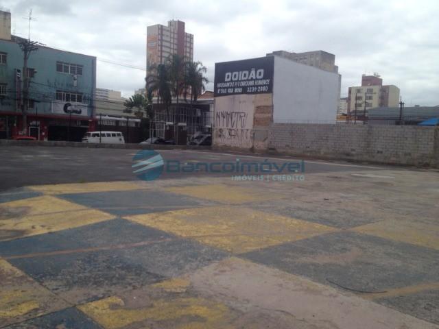 Terreno para alugar em Centro, Campinas cod:TE00353 - Foto 11