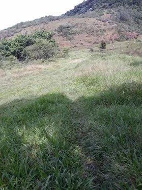 Excelente fazenda em Guapimirim oportunidade!!! - Foto 6