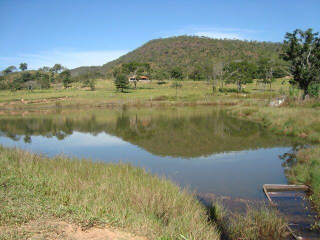 50 Alq. Beira Rio | 120 km Goiânia. (leia o anuncio) - Foto 2