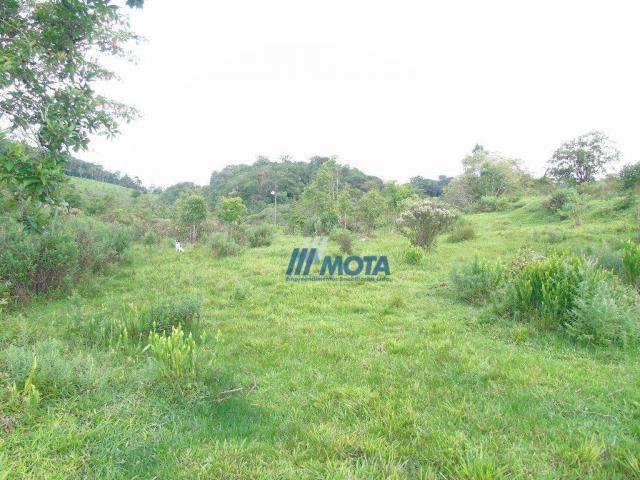 Sítio à venda, 354712 m² por r$ 250.000,00 - miringuava - são josé dos pinhais/pr - Foto 3