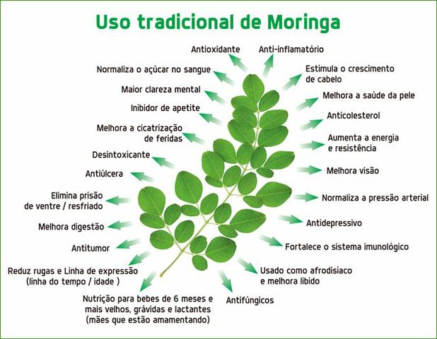 Moringa oleifera. farinha da moringa oleifera. 400g. frete grátis - Foto 4