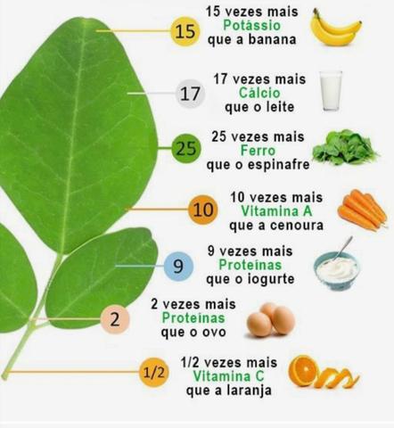 Moringa oleifera. farinha da moringa oleifera. 400g. frete grátis - Foto 3