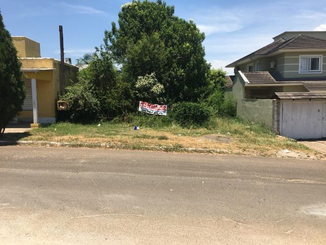 Terreno à Venda - 12 x 55 (660 m²) - Bairro Barnabé - Gravataí
