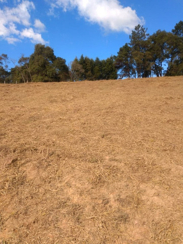 124m terreno barato troco em carro - Foto 4