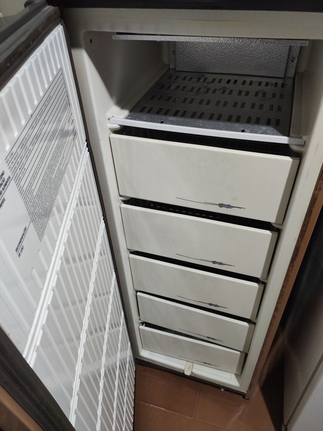 Freezer prosdocimo f21 +15 anúncios na OLX Brasil