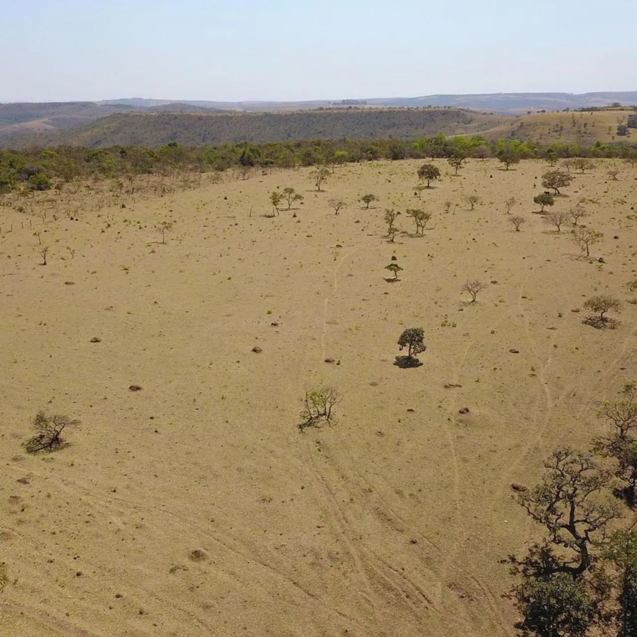 Fazenda de 6 alqueires em Girassol Cocalzinho de Goiás  - Foto 4