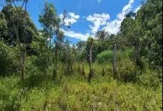 Terreno - Zona Rural, Queluz - Foto 5