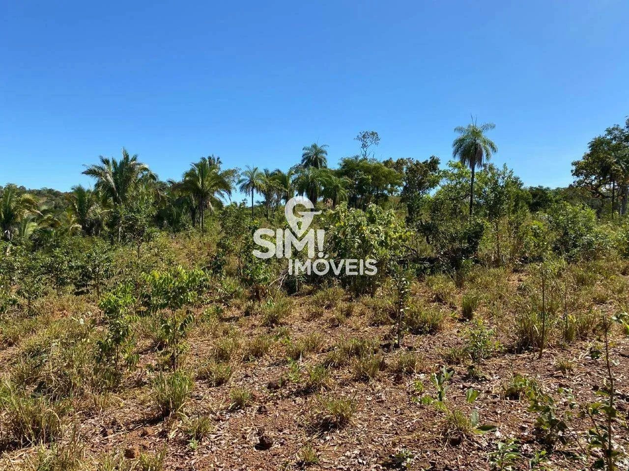 FAZENDA MONTE DO CARMO -TOCANTINS. - Foto 3