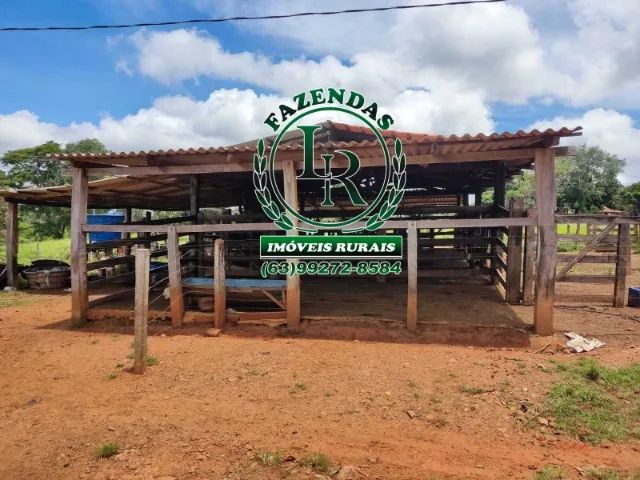 Fazenda 56 Alqueires Paraiso Tocantins - Foto 4