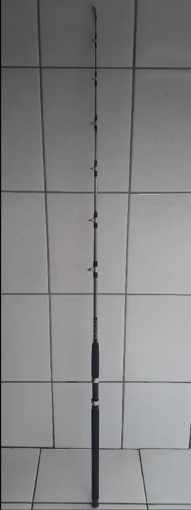 Varas de Pescar está em Ariquemes