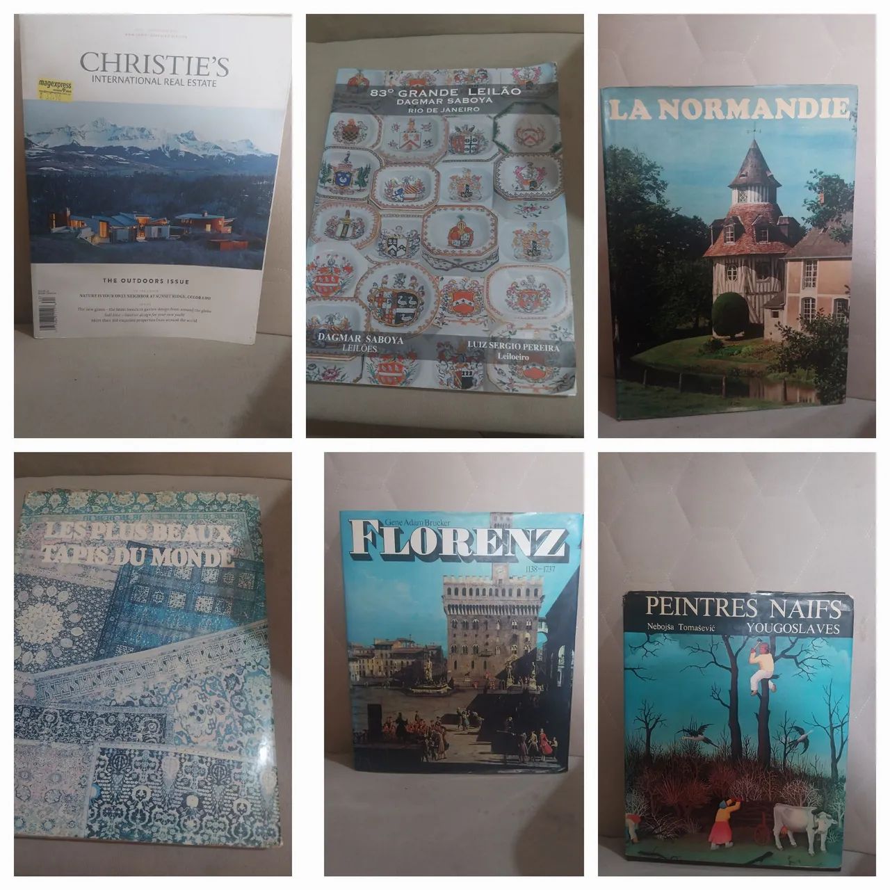 Coleção de livros sobre arte e arquitetura