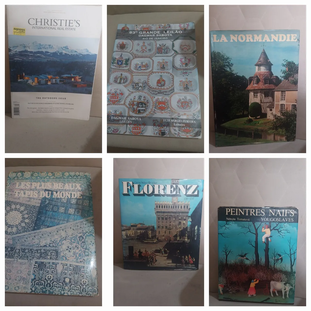 Coleção de livros sobre arte e arquitetura