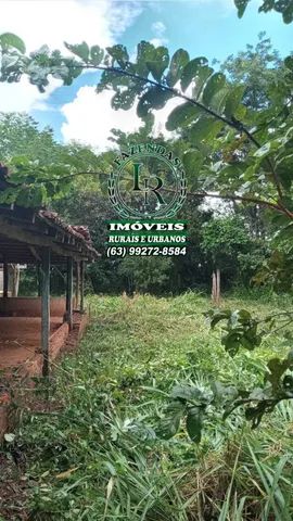 Chácara 1.5 alqueires Próximo a Araguaina Tocantins - Foto 4