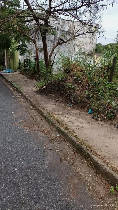 foto - Rio de Janeiro - Guaratiba