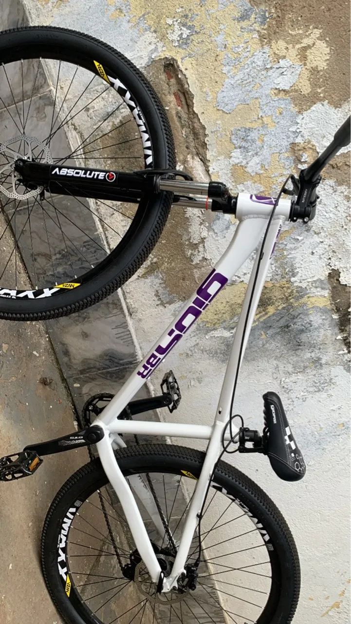Gios 29 - Foto 2