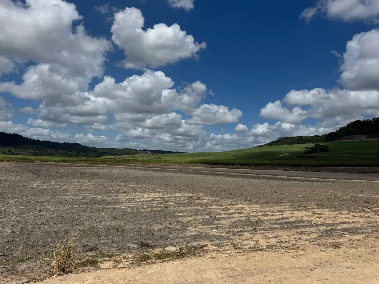 Fazenda de Cana com 112ha
