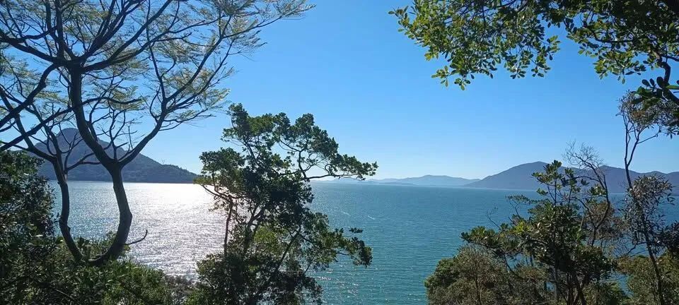 Maravilhoso Terreno com 300m² a 40 Metros do Mar na Enseada de Brito em Palhoça/SC!