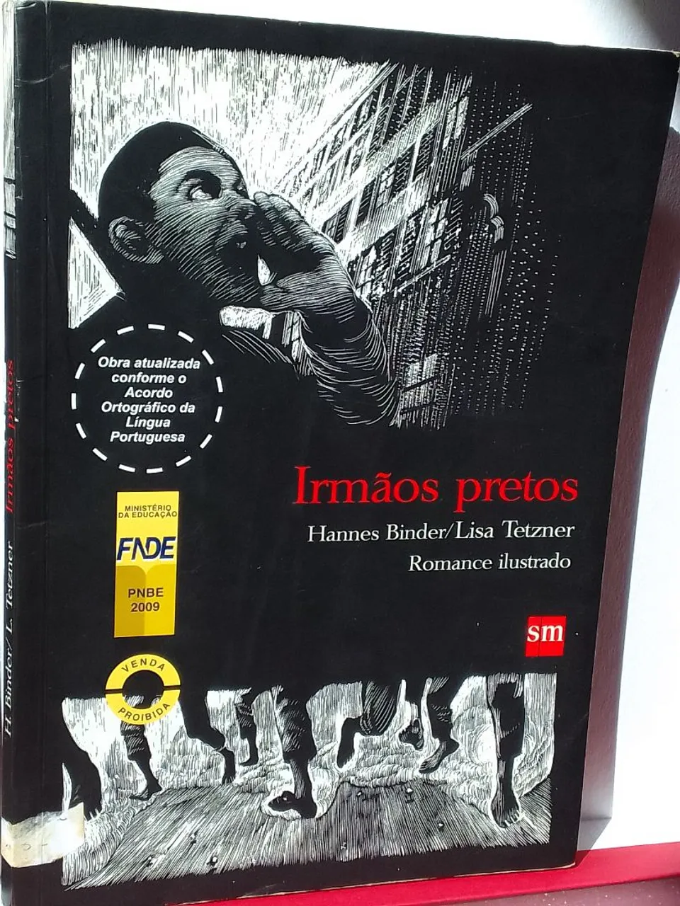 Livro Irmãos pretos