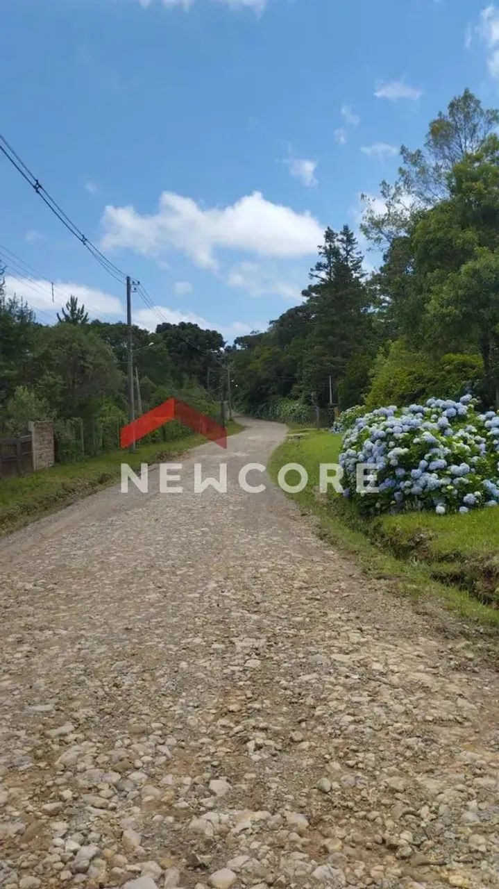 Lote em Rua Boca Da Serra - Remanso Indianópolis - São Francisco de Paula/RS - Foto 4