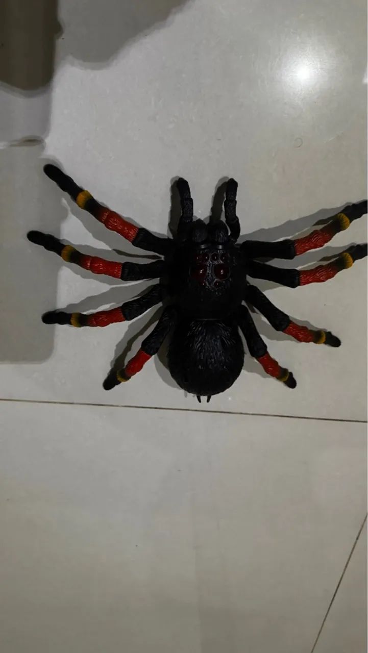 Aranha Gigante